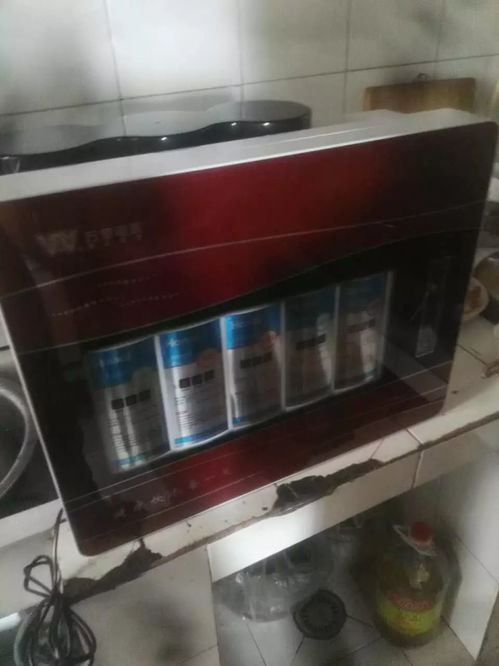 成华净水服务全景 品牌利器与多维保障